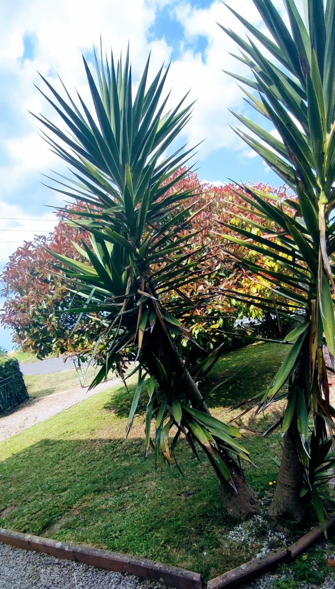 Studio De La Baie Langueux Bagian luar foto